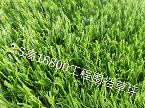 POKER CLUB 塑料牌 撲克 寬牌 63x88mm