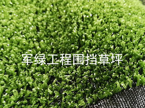POKERMOTE 塑料牌 寬牌 撲克 紅藍(lán) 63x88mm