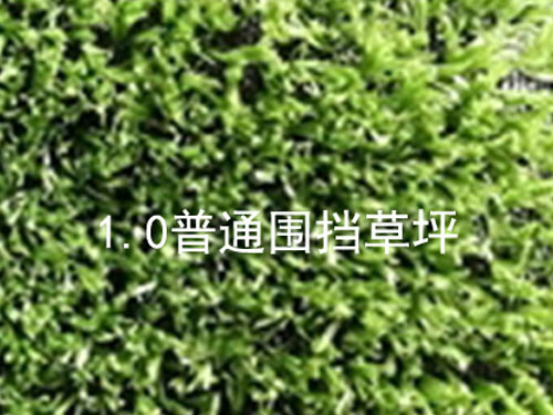 世界杯 橋牌 塑料撲克 鐵盒單付裝